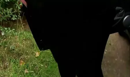 Galo forte estrondo em fofa x videos amadores coroas ânus