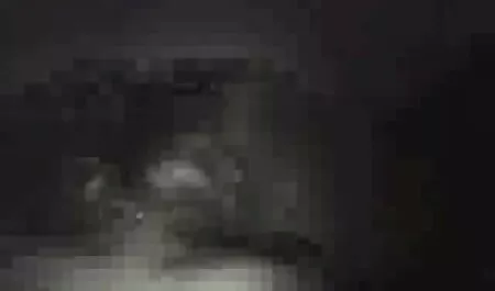 Nova xvideos brasileirinhas amadoras Latina amante empurrando belaiannya louco