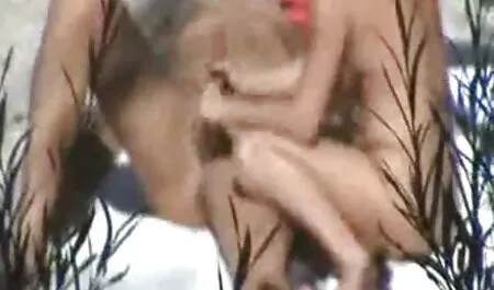 Especialista Fetiche inserção vibrador na vagina e experiências de manhã xvideos amadores novos