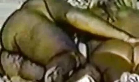 Dear sensual levar o pênis na casal amador xvideos boca e chupar